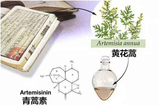 半岛注册,半岛(中国)：向中医药看齐，与世界共享中医药文化(图1)